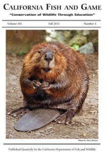 BeaverCFG Journal Cover 346x519