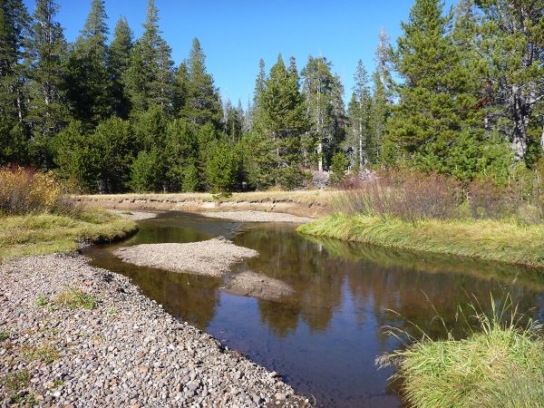CaplesCreek