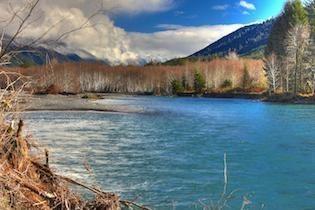 hoh park line reduced